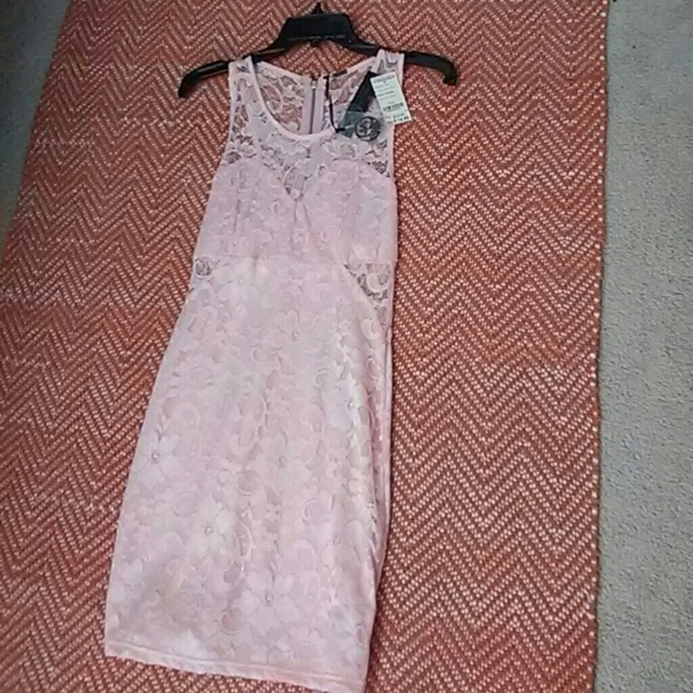 NWT !! Pink Laced Body Dress